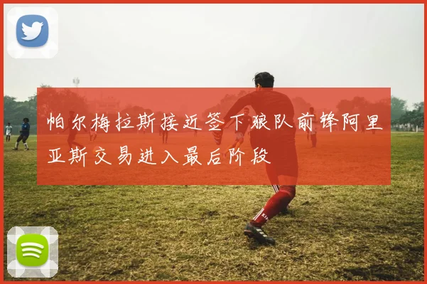 帕尔梅拉斯接近签下狼队前锋阿里亚斯交易进入最后阶段